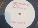 Rudimentary Peni TEST PRESS Cacophony Vinyl LP Rare Punk Anarcho