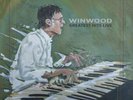 Steve Winwood Winwood Greatest Hits Live (Vinyl) 12
