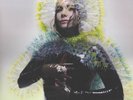 Bjork - Vulnicura (Deluxe 2015 Sealed Vinyl 2 LP With Acetate Artwork sleeve) M