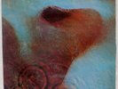 PINK FLOYD MEDDLE TOSHIBA EMS80322 JAPAN VINYL LP