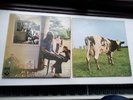 PINK FLOYD LPs Ummagumma 1969 (SHDW1/2) Atom Heart Mother 1970 (SHVL781) HARVEST