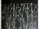 The Decemberists ‎– The Hazards Of Love (2009) 2 × Vinyl, LP, Album, SEALED