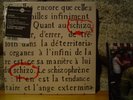 SCHIZO Le Voyageur/Torcol 7
