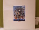 Talk Talk – Spirit Of Eden-1988 Vinyl with Original printed inner-Very nice copy