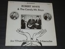 Robert White & The Candy Mt. Boys In The Saviours Hands Christian Gospel Xian