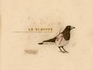 La Dispute - Somewhere at the Bottom of the River Between Vega and Altair [New V