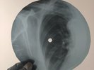 F SINATRA P.S. I LOVE YOU X-Ray USSR Record Roentgen Bones Ribs Music Vinyl