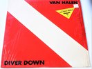 Van Halen Diver Down 1982 WB  BSK 3677 Hard Rock LP Jacksonville Press VG++ EX