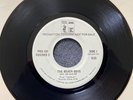 Beach Boys - Sail On Sailor/The Trader RARE 1973 PROMO 45rpm Near Mint