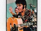 ELVIS PRESLEY PANEL DELUXE RCA RP9201 JAPAN VINYL 2LP