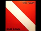 Van Halen 1982 Diver Down Vinyl LP BSK 3677 Original Warner Bros NMPRISTINE