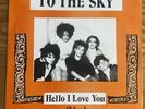 The Cure Hello I Love You 45 T Bootleg
