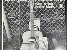 Big Joe Williams Nine String Guitar Blues Delmark 627 Vinyl Record RARE LP