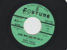 DOOWOP  45 -TONY VALLA & ALAMOS - JANE WHY DID YOU DO IT - HEAR - 1961 FORTUNE