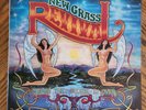 NEW GRASS REVIVAL / WHEN THE STORM IS OVER   1977 Album w Sam Bush   NEAR MINT