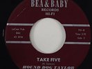 Hound Dog Taylor 