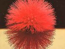 Yutaka Yokokura - Love Light - Used Vinyl Record - Q16286A