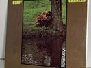 Bobby Charles White Label Promo (1972 Bearsville BR 2104) VG, Surface Scratches