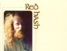 GARY HIGGINS RED HASH NEW LP