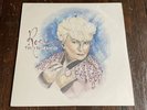 The Front Bottoms - Rose Vinyl Record BLACK 2014