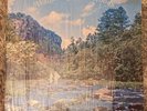 Mark & Bonnie Branciaroli  Wandering the Woods Rural private psych folk LP