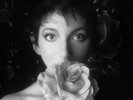Kate Bush Remastered in Vinyl II (Vinyl) 12