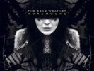 The Dead Weather - Horehound - LP
