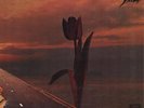 PRETTY THINGS Parachute 1970 UK or. lp + Harvest innersleeve NICE condition