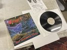 Warlord - Thy Kingdom Come Vinyl Power Metal RARE LP EX/EX