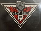 LP 33 Vanadium ‎– Metal Rock Italy 1982 Promo Pino Scotto Durium Marche Estere