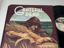 GRATEFULL DEAD - WAKE OF THE FLOOD - 1973 GRATEFUL DEAD RECORDS NM