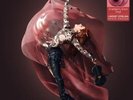 LINDSEY STIRLING: BRAVE ENOUGH - CRANBERRY SWIRL (LP vinyl *BRAND NEW*.)