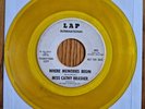 VTG 45 RPM Miss Cathy Brasher Only When I Dream LAP International 1001 PROMO 64