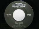 BRADSHAW HIGH SCHOOL BRUINS Marching Band Florence Alabama 45 RECORD RARE