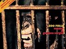 Giuliano Sorgini Zoo Folle Double LP Vinyl FLIES54 NEW