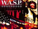 W.A.S.P. / DOMINATOR (BLACK VINYL) (LP) / Napalm Records / NPR601LP / LP