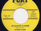 ELMORE JAMES -