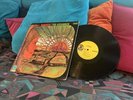 The Children   Rebirth   LP   Psych   Acid Archives   Vinyl   1st Press