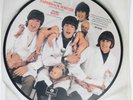 BEATLES PICTURE DISC 45 Paperback Writer PARLOPHONE NM UK pressing butcher