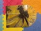 Coheed and Cambria The Second Stage Turbine Blade Vinyl LP Yellow Black Splatter