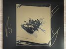 Foals - Life Is Yours (Life Is Dub) – SIGNED 12