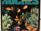 THE ROCHES 