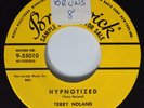 Rockabilly 45 TERRY NOLAND Hypnotized BRUNSWICK NM/VG++ PROMO HEAR