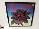 THIN LIZZY Black Rose 1979 VINYL LP Import HOLLAND Vertigo 6360 169