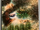 Pink Floyd- Saucerful Of Secrets UK First Press Mono EX+++/NM (misprinted Label)