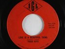Garage 45 - Those Guys - Love Is A Beautiful Thing - IGL