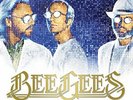 BEE GEES - Timeless Time All Time Greatest Hits (2018) 2 LP vinyl