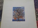 Talk Talk - Spirit Of Eden - Used Vinyl Record - S2508S Excellent First Pressing