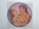 Samantha Fox David Cassidy VERY RARE Romance picture disc MINT magazine poster
