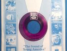 45 RPM FANTASTIC FOUR, I LOVE YOU MADLY / I LOVE YOU MADLY INSTRUMENTAL, NM